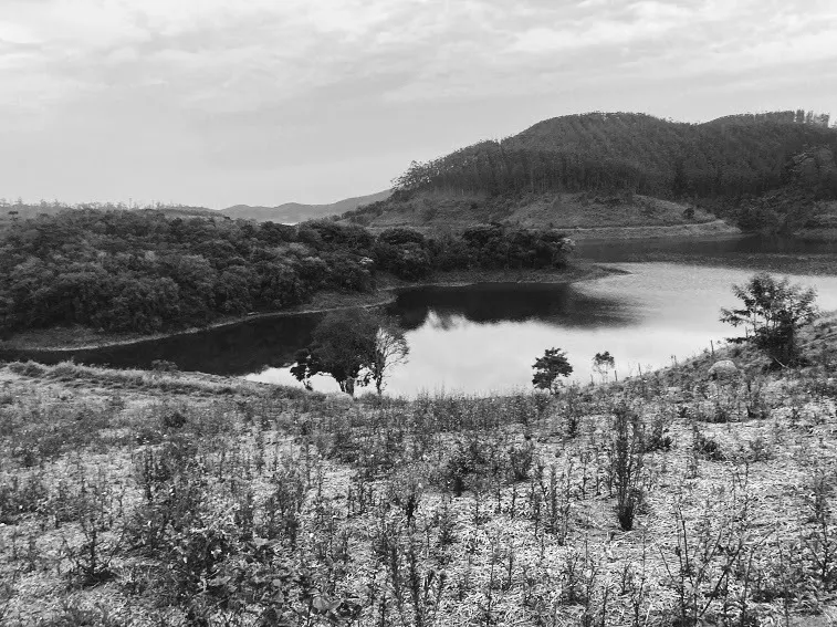 Small farm for sale of 5 acres in Natividade da Serra, SP, Brazil