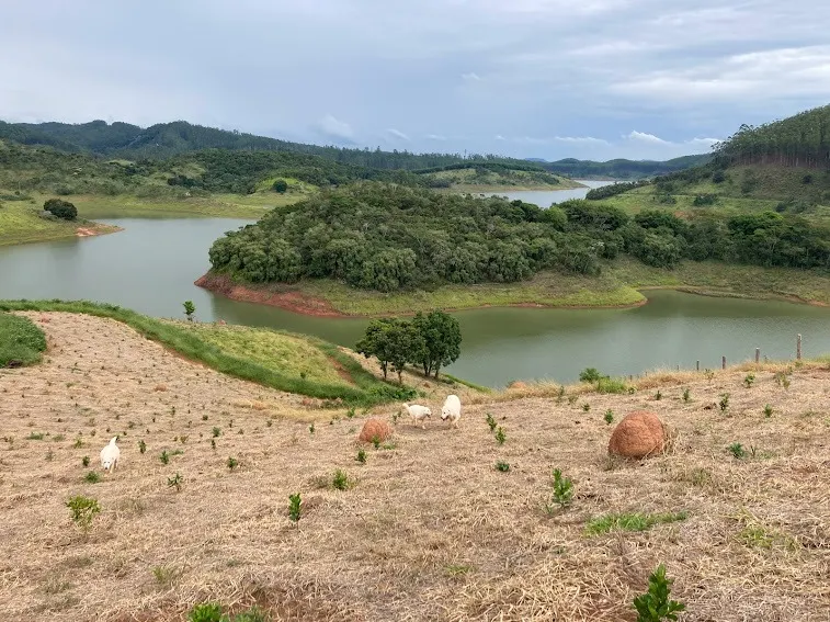 Small farm for sale of 5 acres in Natividade da Serra, SP, Brazil