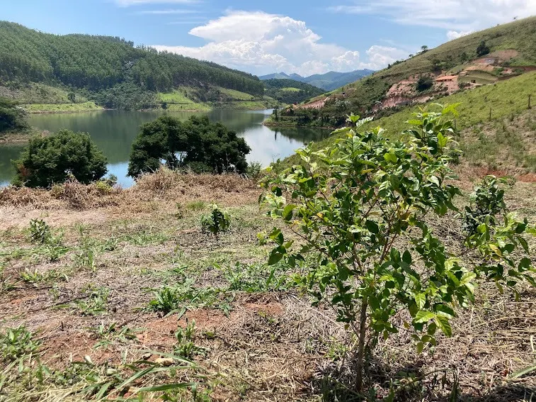 Small farm for sale of 5 acres in Natividade da Serra, SP, Brazil