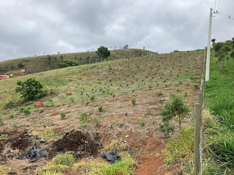 Small farm for sale of 5 acres in Natividade da Serra, SP, Brazil