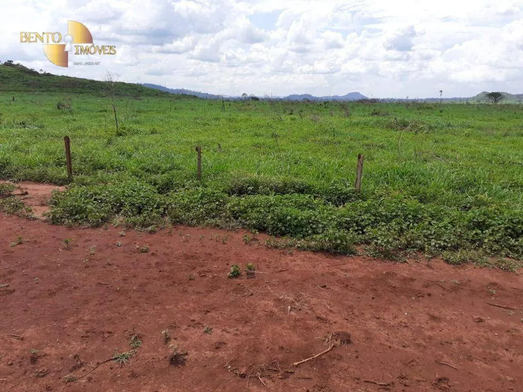 Fazenda à venda de 32.346 ha em São Félix do Xingu, PA, Brasil