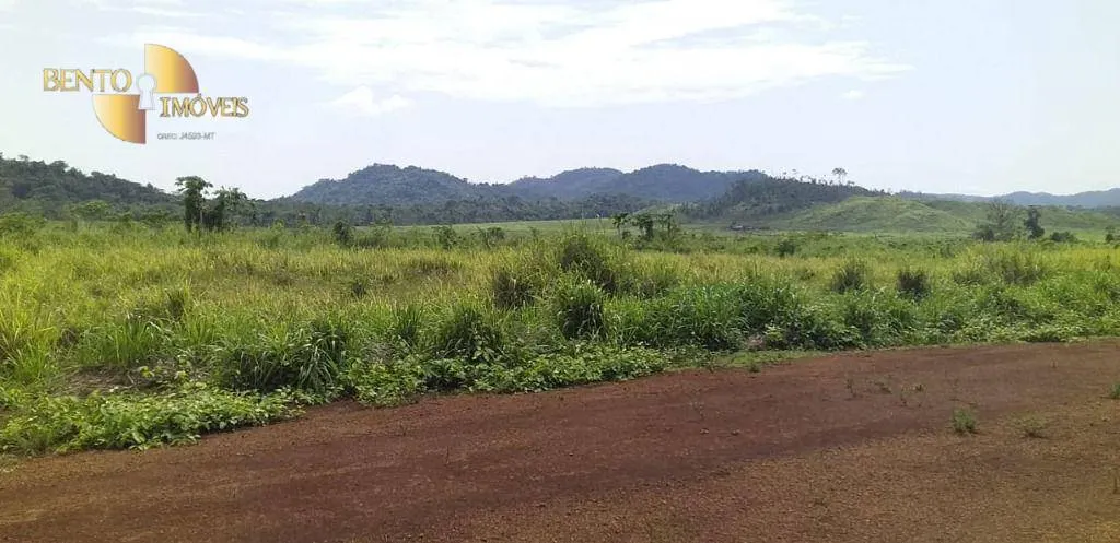 Fazenda à venda de 32.346 ha em São Félix do Xingu, PA, Brasil