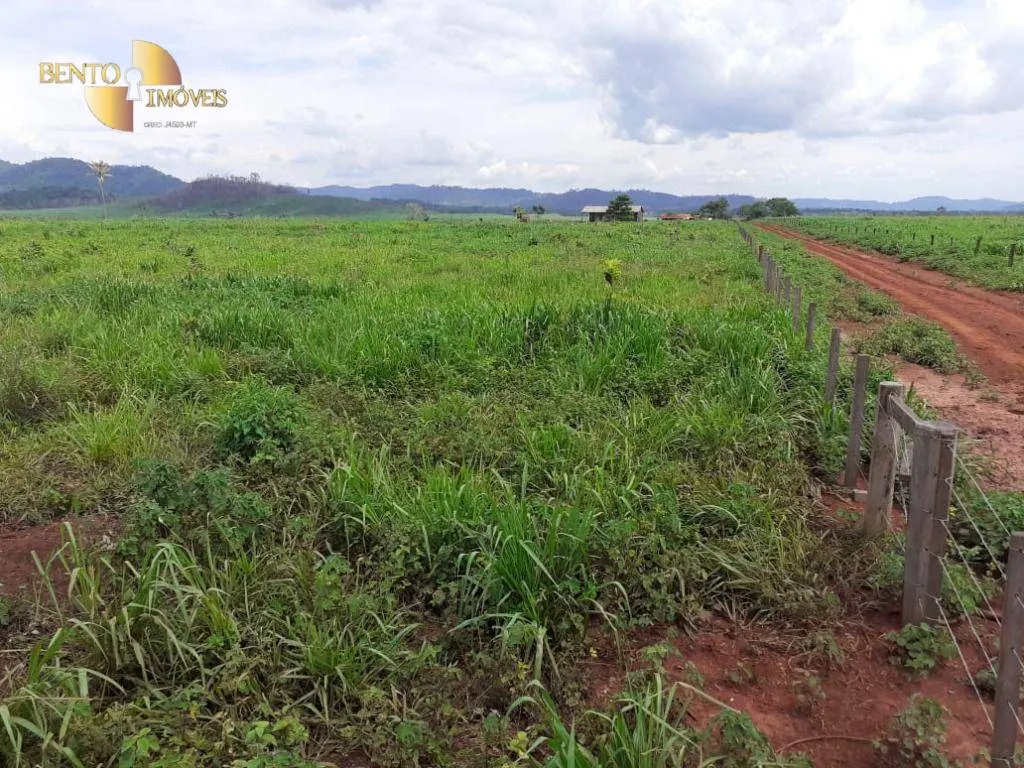 Fazenda à venda de 32.346 ha em São Félix do Xingu, PA, Brasil