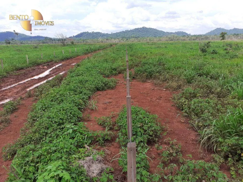 Fazenda à venda de 32.346 ha em São Félix do Xingu, PA, Brasil