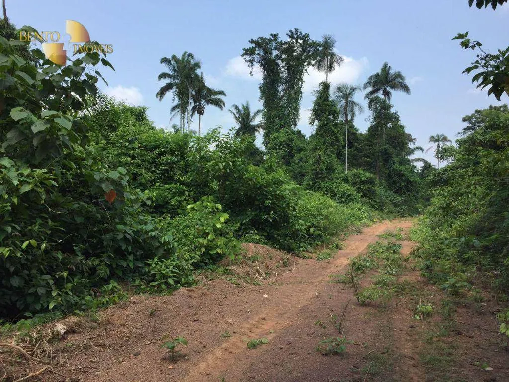 Fazenda à venda de 32.346 ha em São Félix do Xingu, PA, Brasil