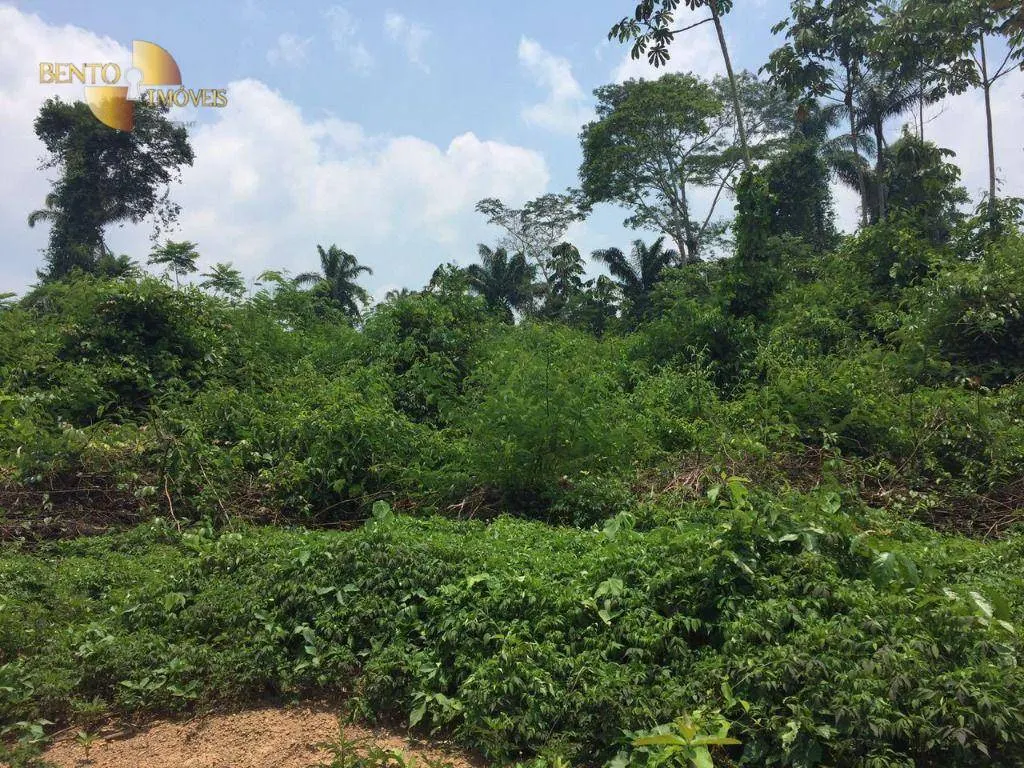 Fazenda à venda de 32.346 ha em São Félix do Xingu, PA, Brasil