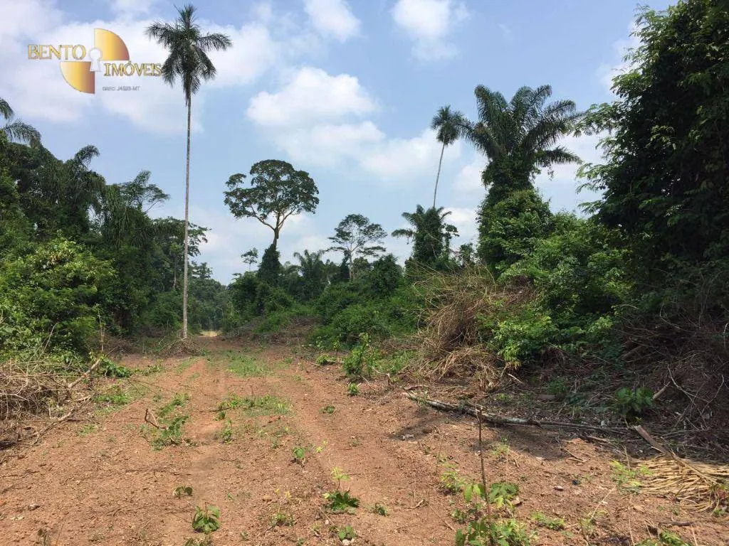 Fazenda à venda de 32.346 ha em São Félix do Xingu, PA, Brasil