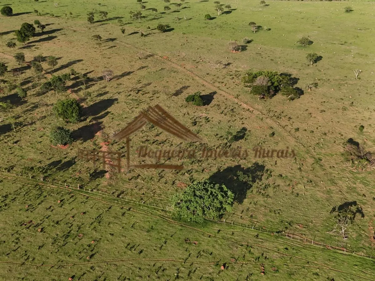Fazenda à venda de 290 ha em Avaré, SP, Brasil