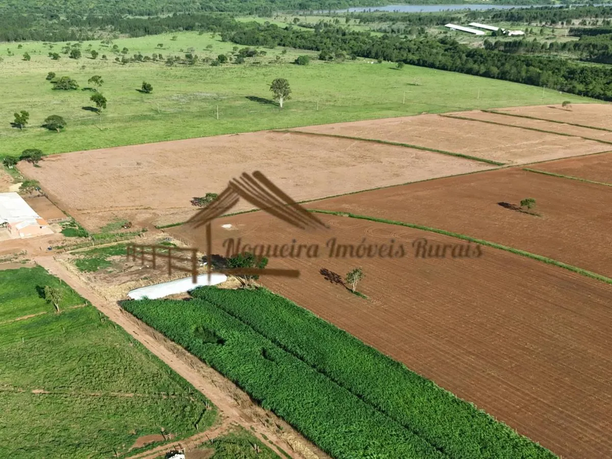 Fazenda à venda de 290 ha em Avaré, SP, Brasil