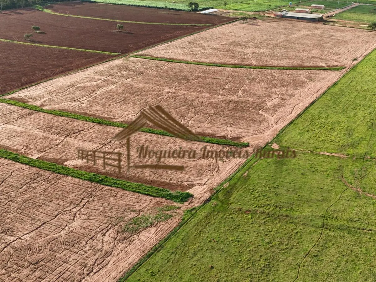 Fazenda à venda de 290 ha em Avaré, SP, Brasil