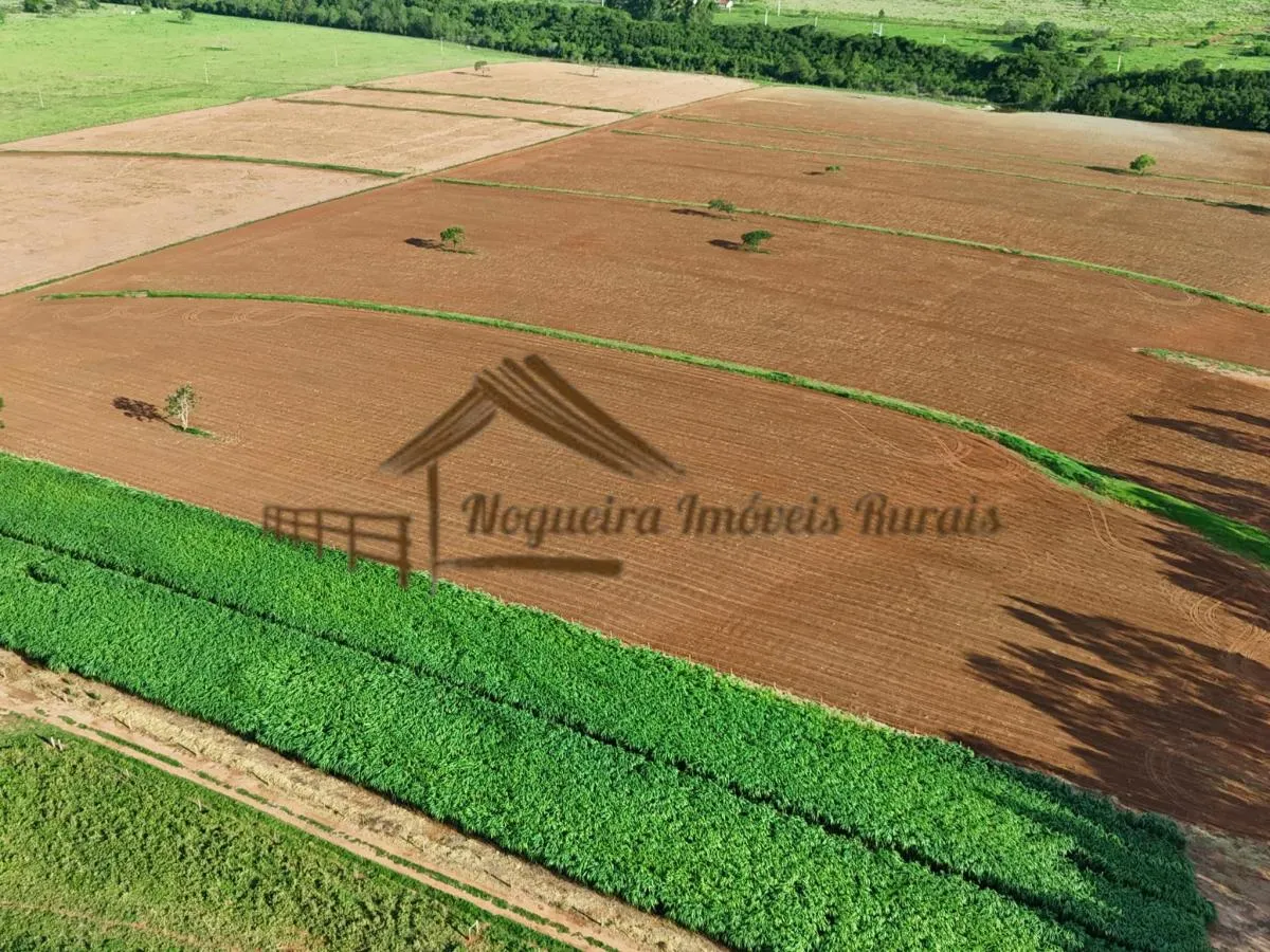 Fazenda à venda de 290 ha em Avaré, SP, Brasil