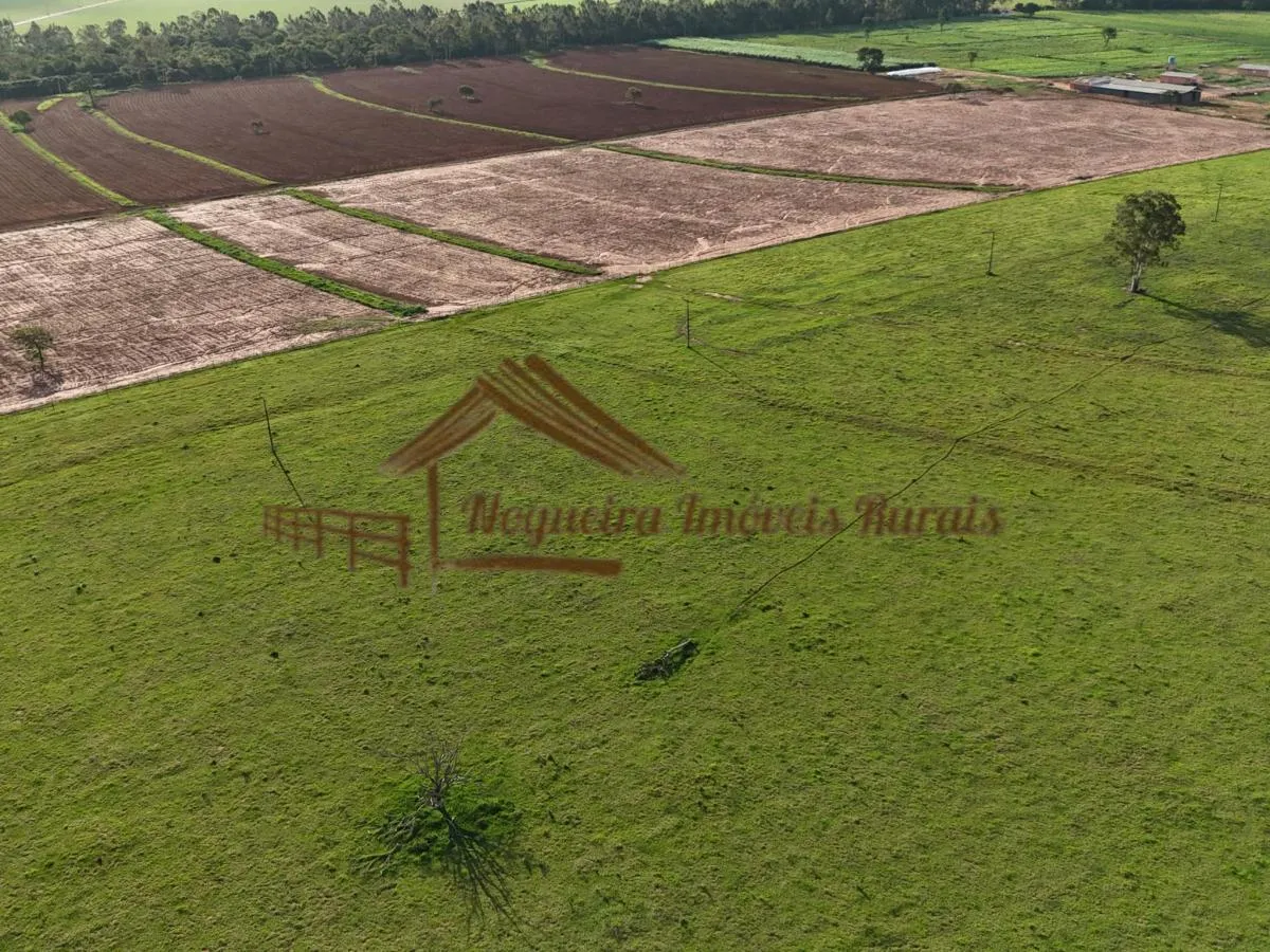 Fazenda à venda de 290 ha em Avaré, SP, Brasil