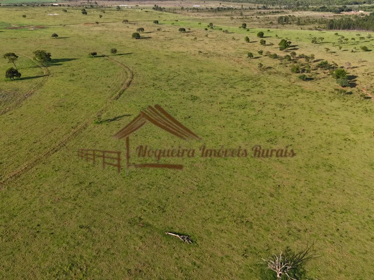 Fazenda à venda de 290 ha em Avaré, SP, Brasil