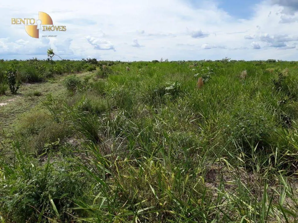 Farm for sale of 11,120 acres in Brasnorte, MT, Brazil