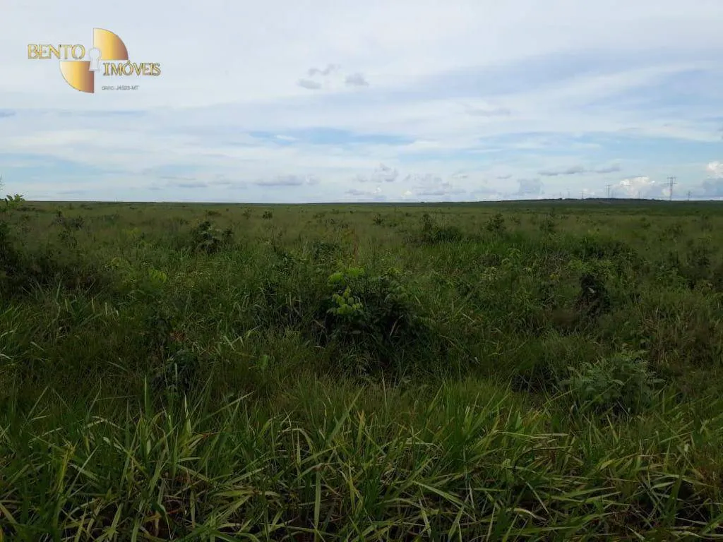 Farm for sale of 11,120 acres in Brasnorte, MT, Brazil