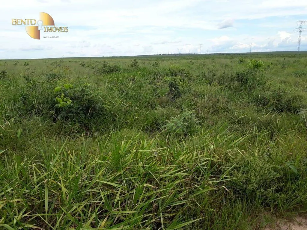 Farm for sale of 11,120 acres in Brasnorte, MT, Brazil