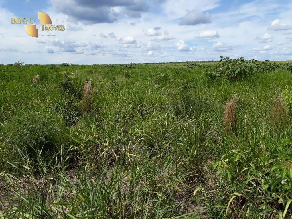 Farm for sale of 11,120 acres in Brasnorte, MT, Brazil