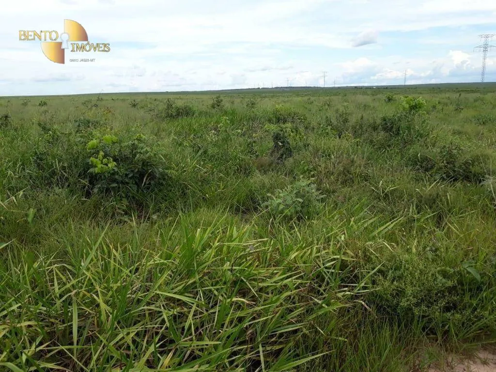 Farm for sale of 11,120 acres in Brasnorte, MT, Brazil