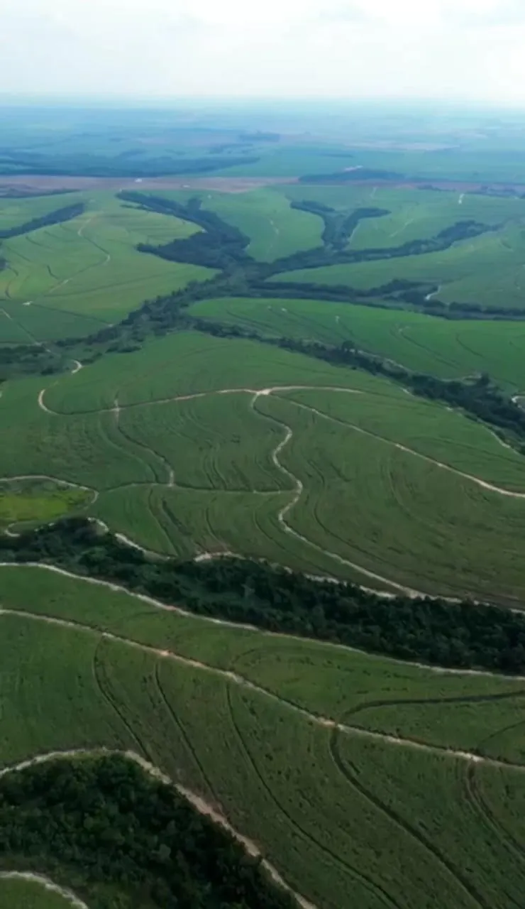 Fazenda à venda de 387 ha em Porto Feliz, SP, Brasil