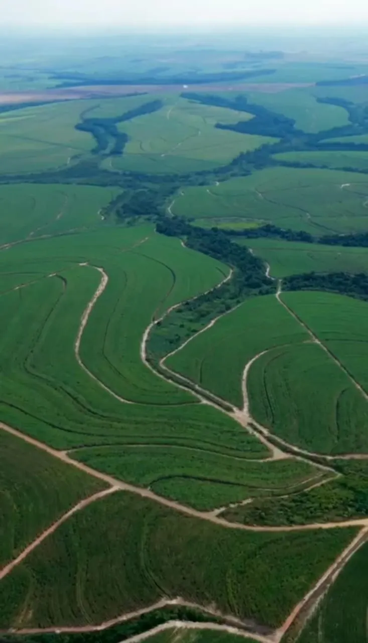 Fazenda à venda de 387 ha em Porto Feliz, SP, Brasil