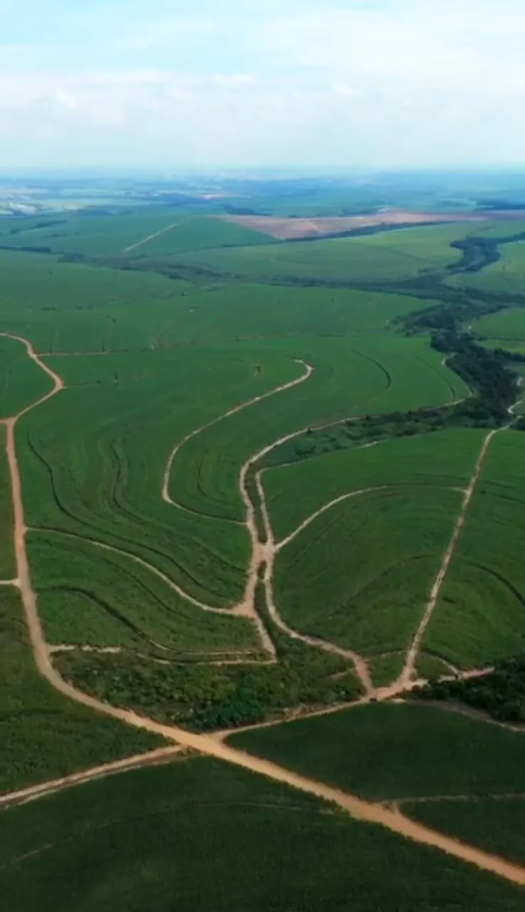 Fazenda à venda de 387 ha em Porto Feliz, SP, Brasil