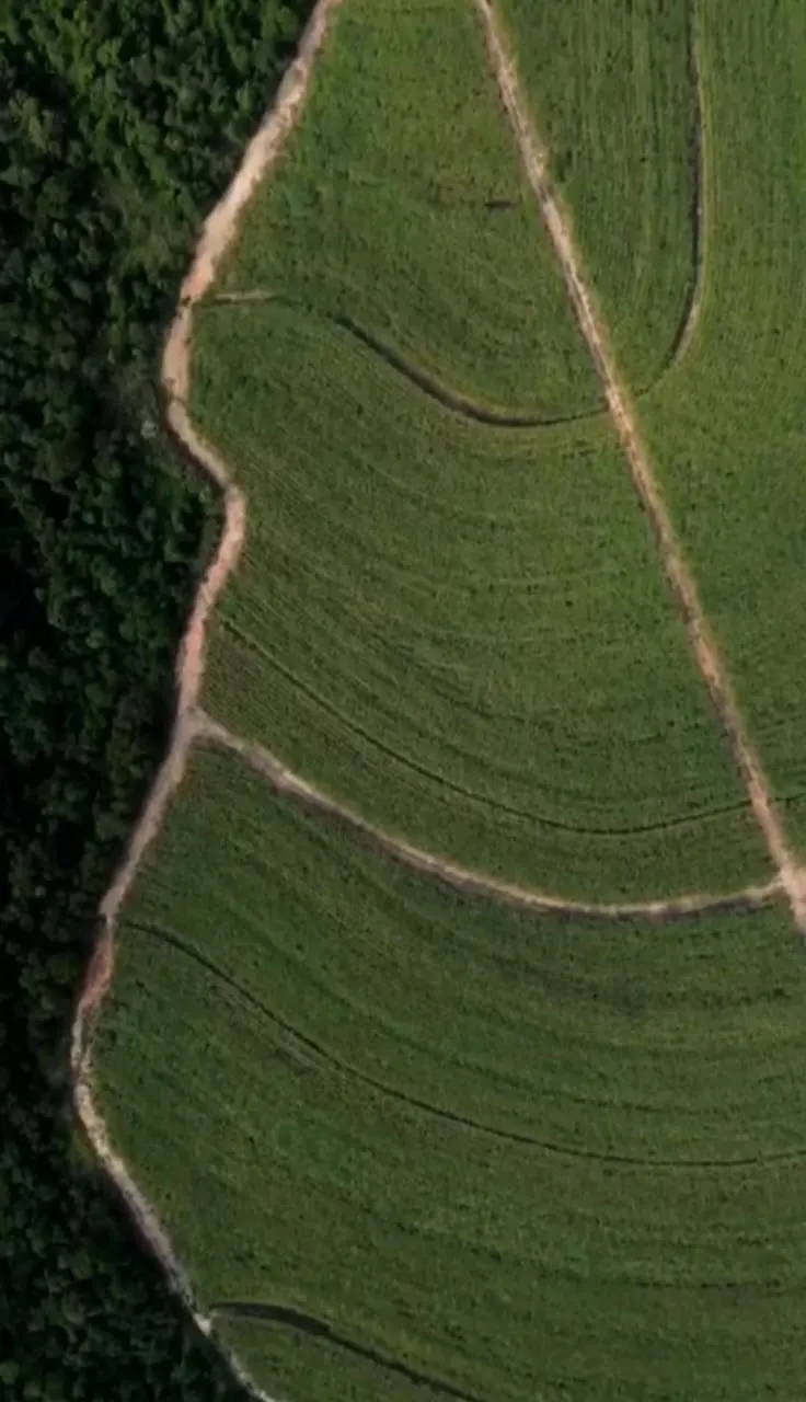Fazenda à venda de 387 ha em Porto Feliz, SP, Brasil