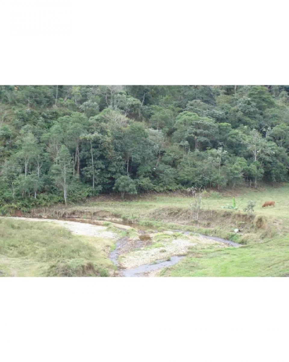 Farm for sale of 298,997 acres in Piquete, SP, Brazil