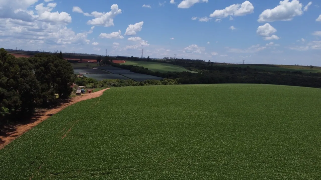 Fazenda à venda de 41 ha em Itapetininga, SP, Brasil