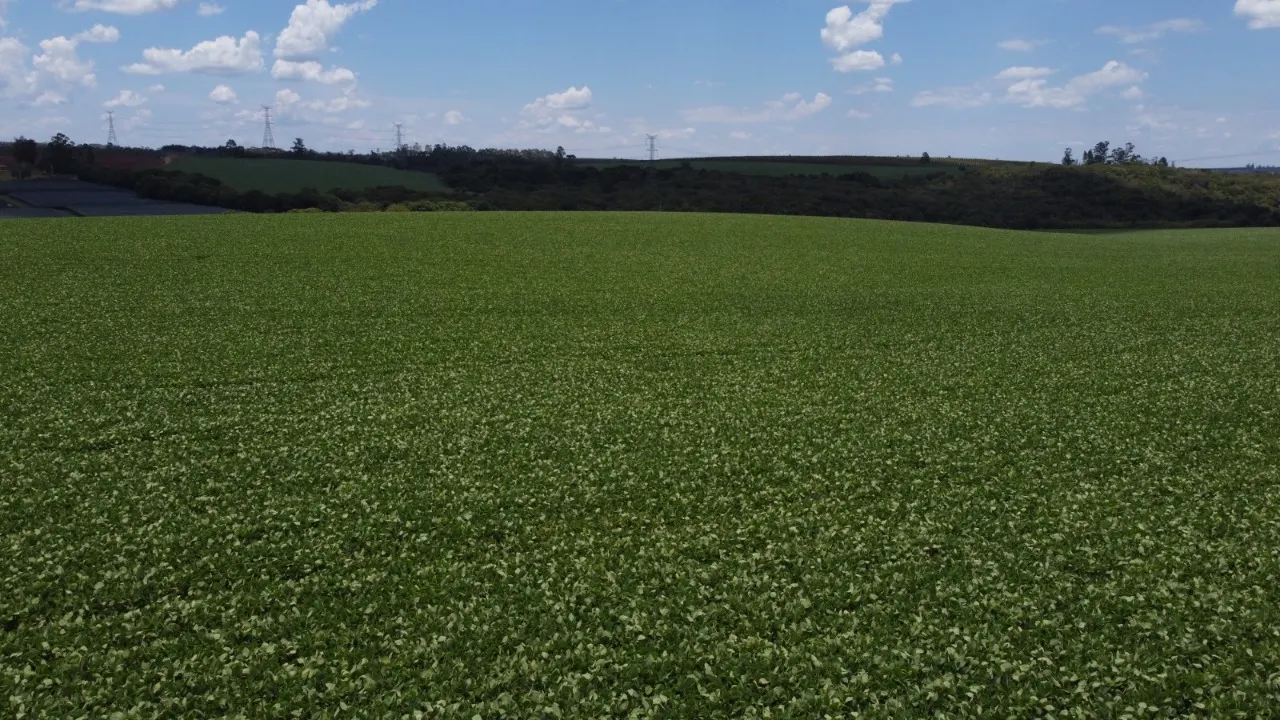Fazenda à venda de 41 ha em Itapetininga, SP, Brasil
