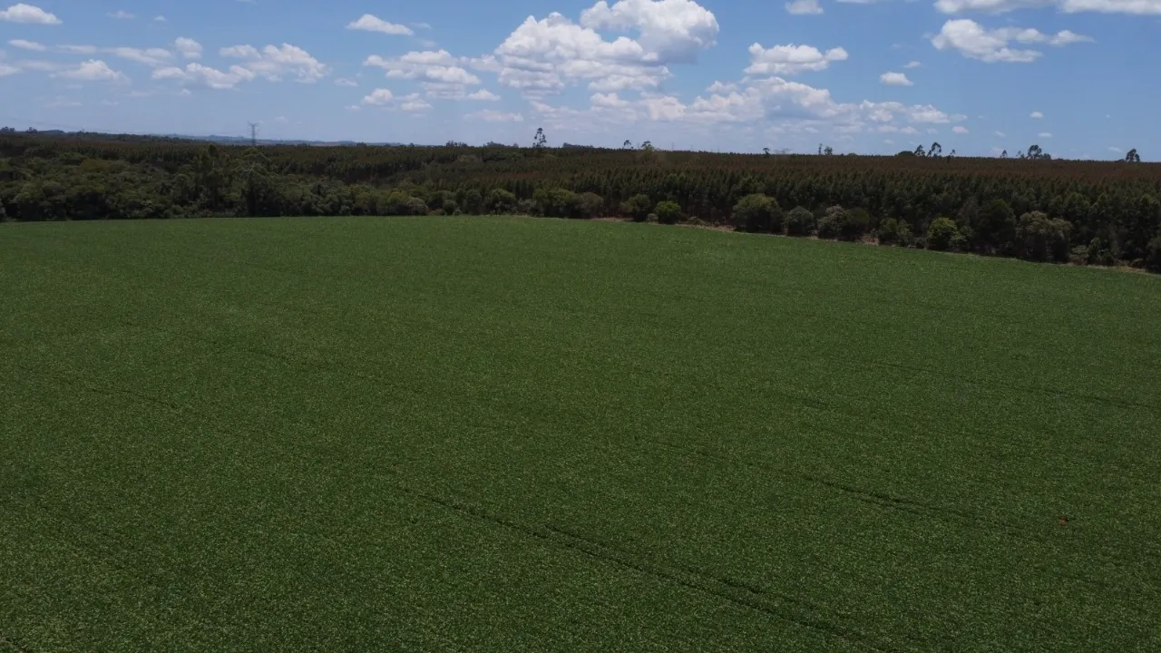 Fazenda à venda de 41 ha em Itapetininga, SP, Brasil