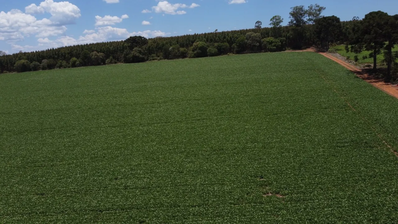 Fazenda à venda de 41 ha em Itapetininga, SP, Brasil