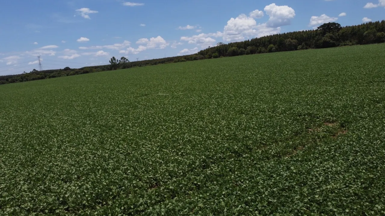 Fazenda à venda de 41 ha em Itapetininga, SP, Brasil