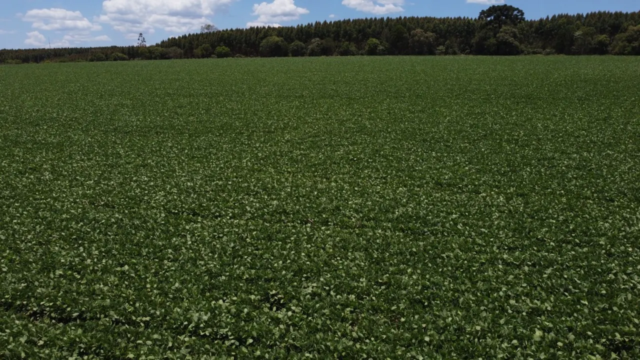 Fazenda à venda de 41 ha em Itapetininga, SP, Brasil