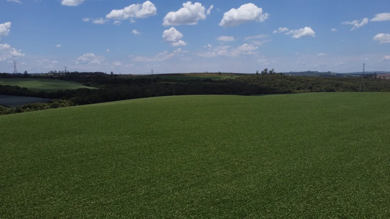 Fazenda à venda de 41 ha em Itapetininga, SP, Brasil
