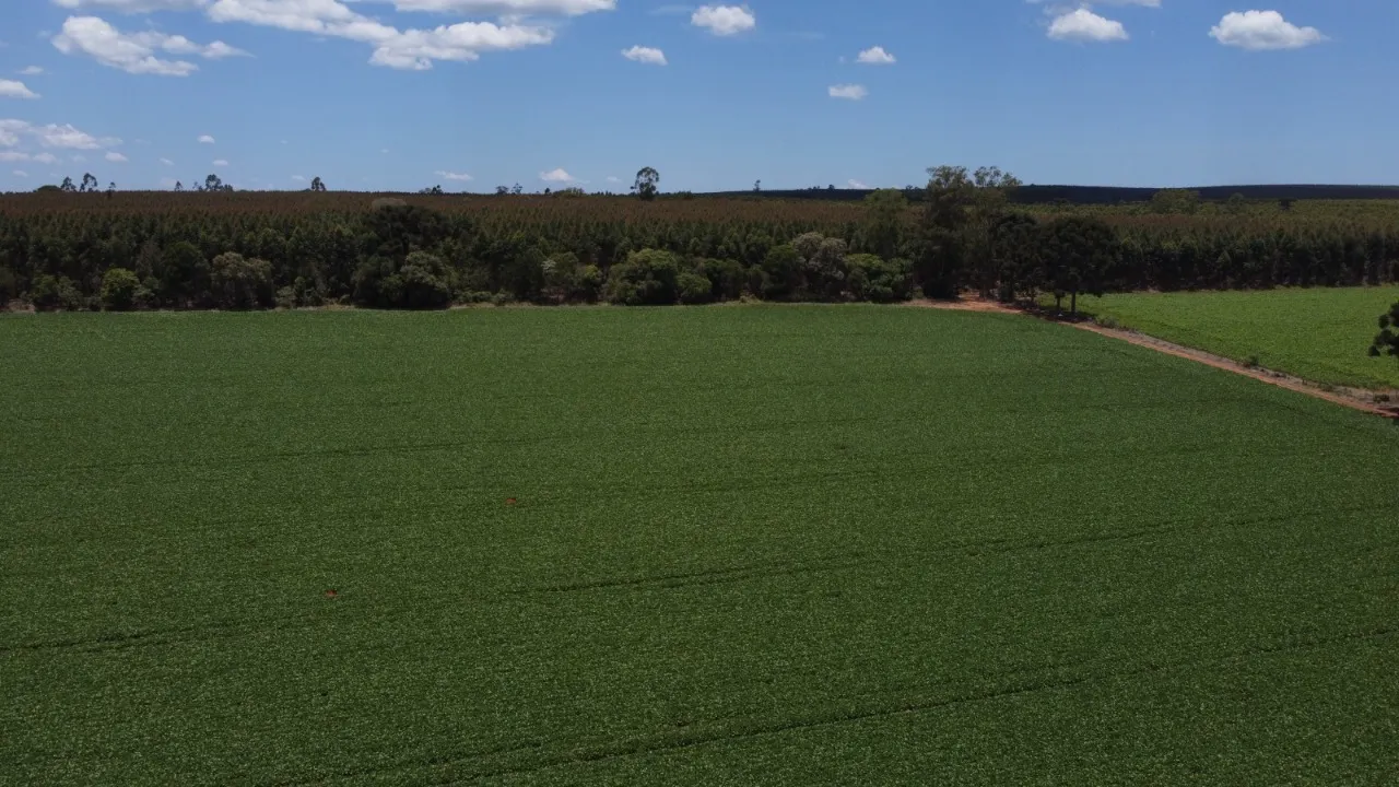 Fazenda à venda de 41 ha em Itapetininga, SP, Brasil