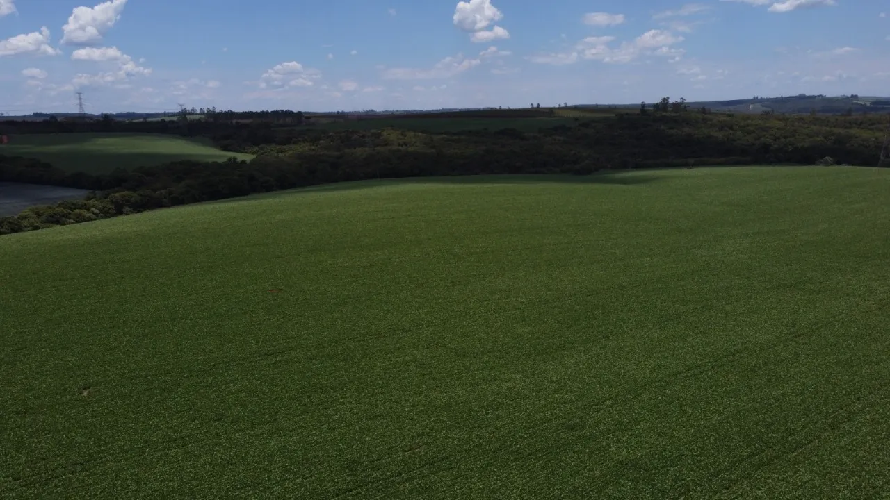 Fazenda à venda de 41 ha em Itapetininga, SP, Brasil