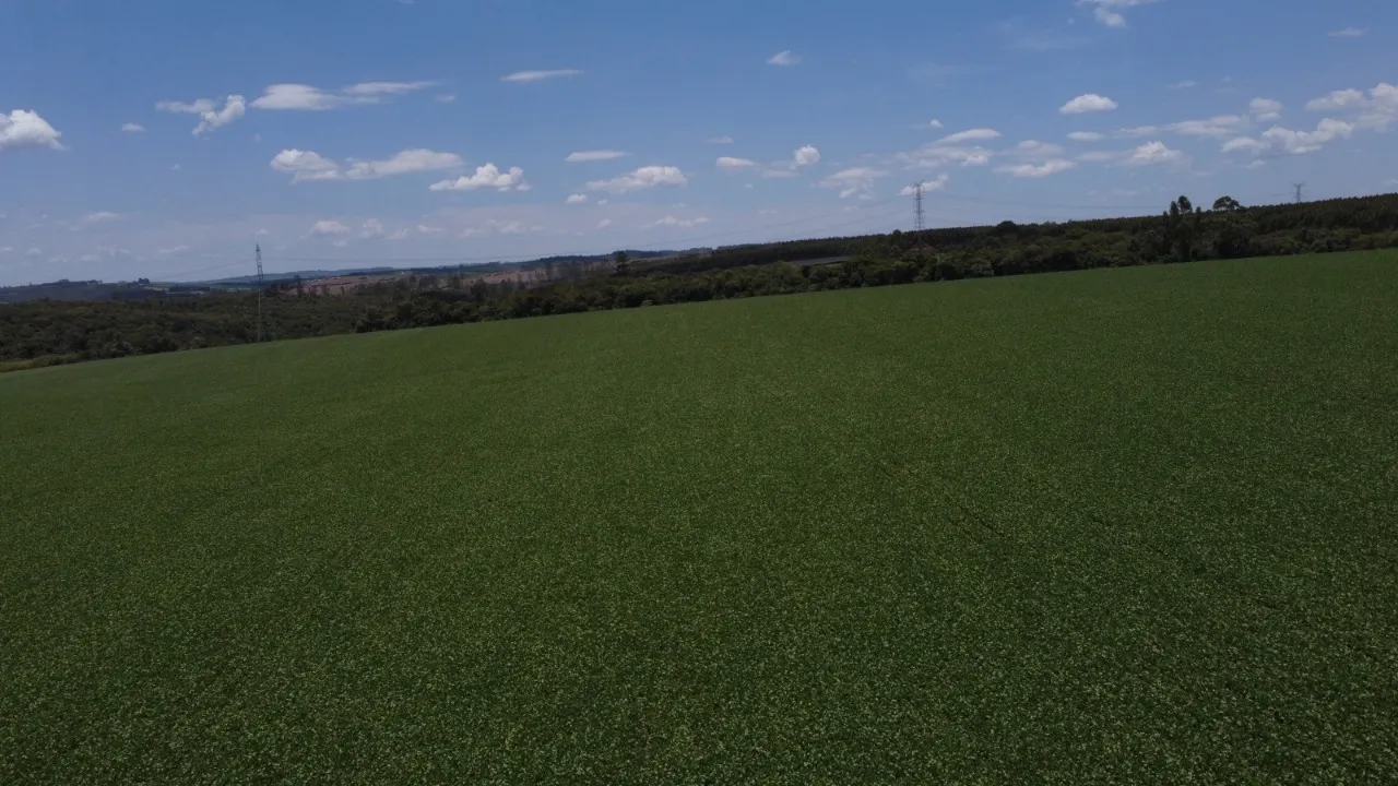 Fazenda à venda de 41 ha em Itapetininga, SP, Brasil