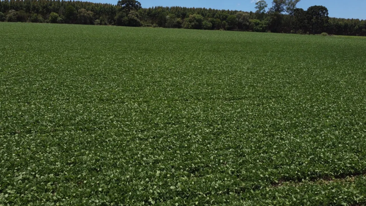 Fazenda à venda de 41 ha em Itapetininga, SP, Brasil