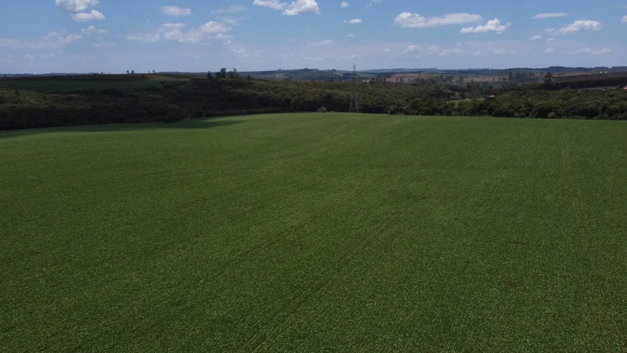 Fazenda à venda de 41 ha em Itapetininga, SP, Brasil