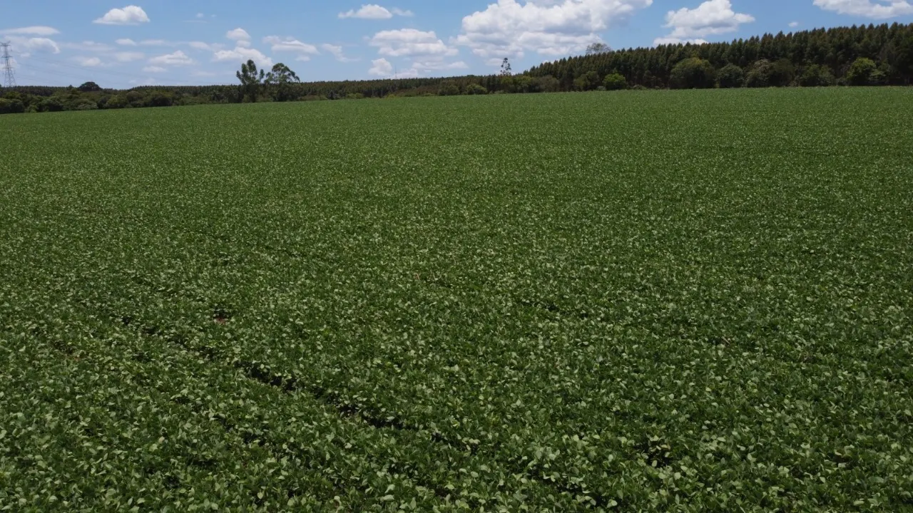 Fazenda à venda de 41 ha em Itapetininga, SP, Brasil