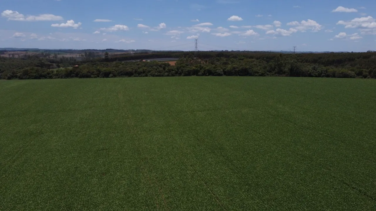 Fazenda à venda de 41 ha em Itapetininga, SP, Brasil