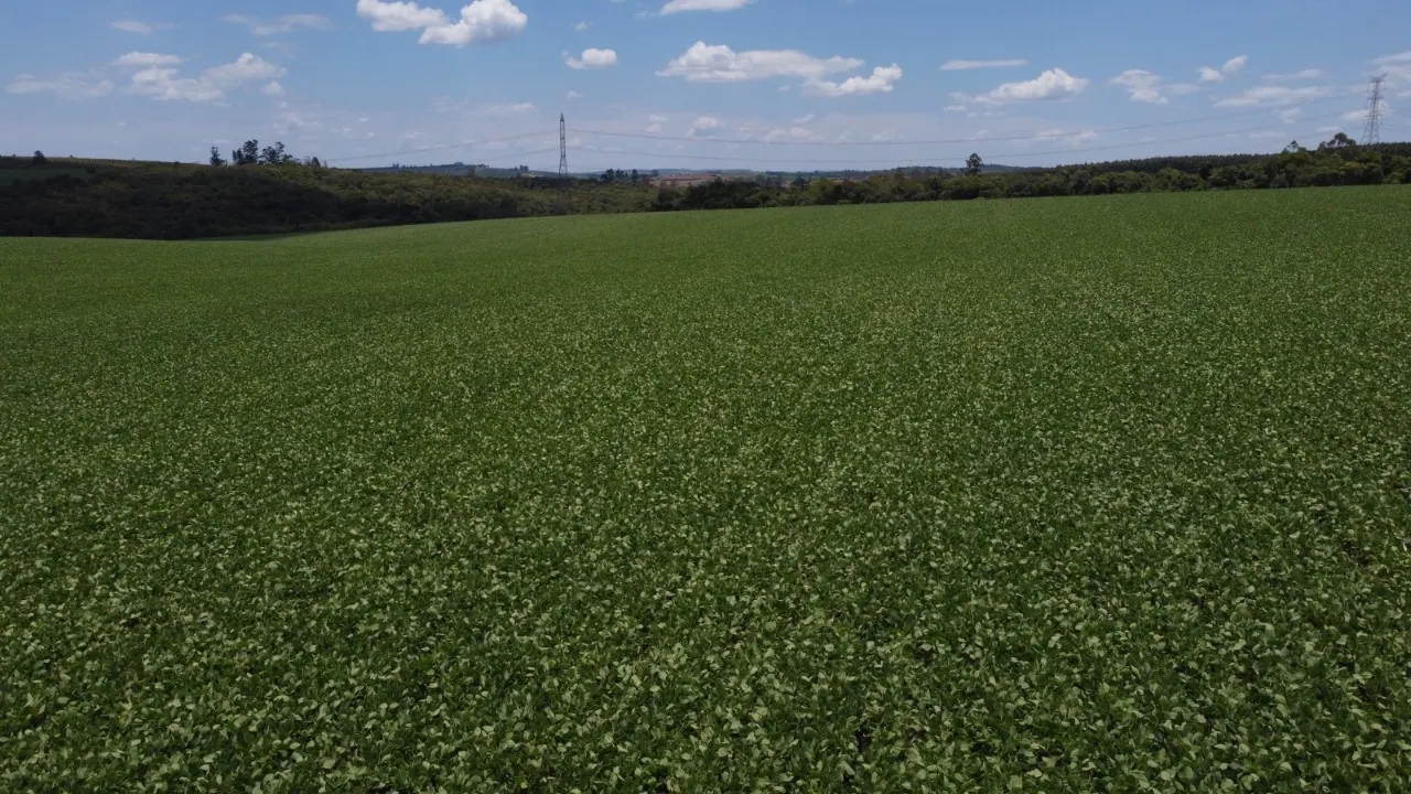Fazenda à venda de 41 ha em Itapetininga, SP, Brasil
