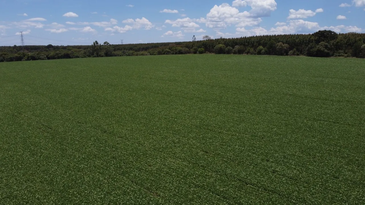 Fazenda à venda de 41 ha em Itapetininga, SP, Brasil