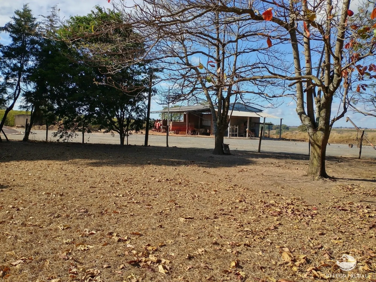 Fazenda à venda de 265 ha em Patos de Minas, MG, Brasil