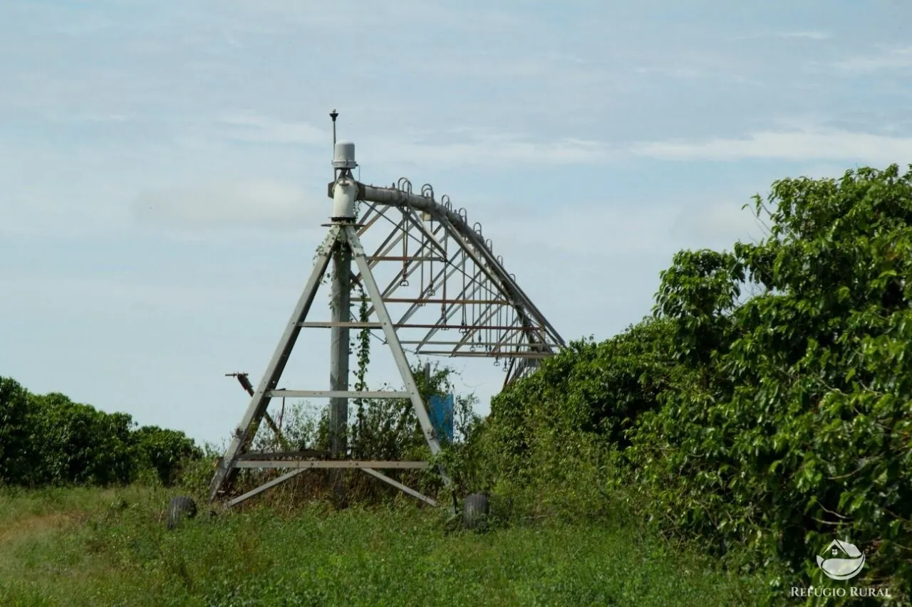 Fazenda à venda de 265 ha em Patos de Minas, MG, Brasil