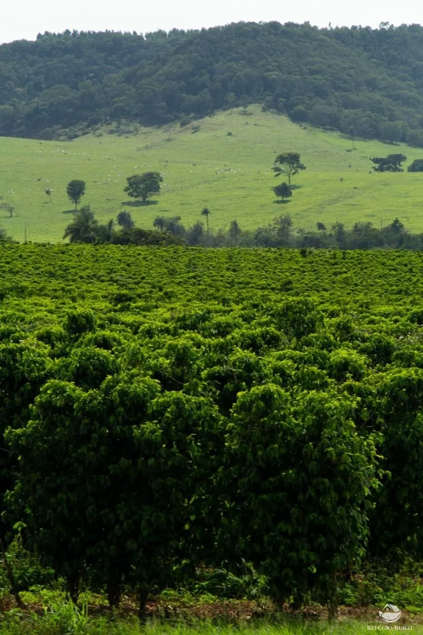 Fazenda à venda de 265 ha em Patos de Minas, MG, Brasil