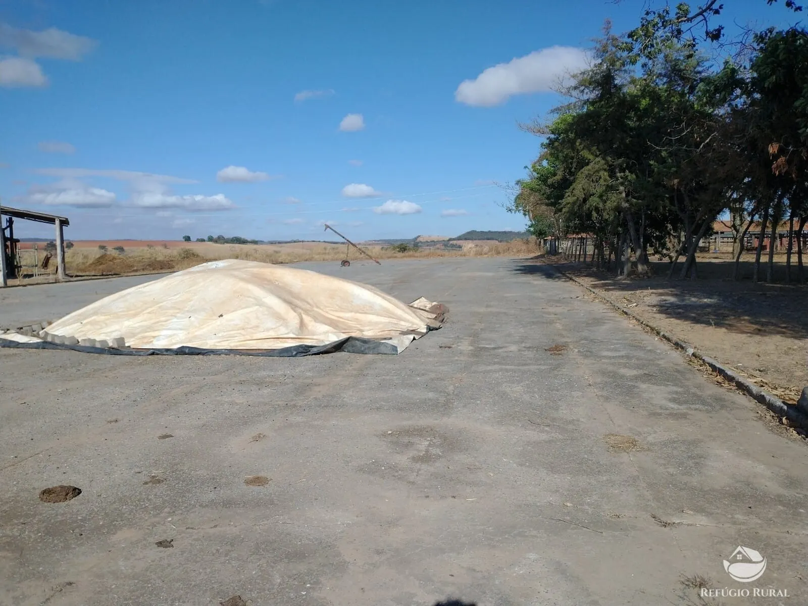 Fazenda à venda de 265 ha em Patos de Minas, MG, Brasil