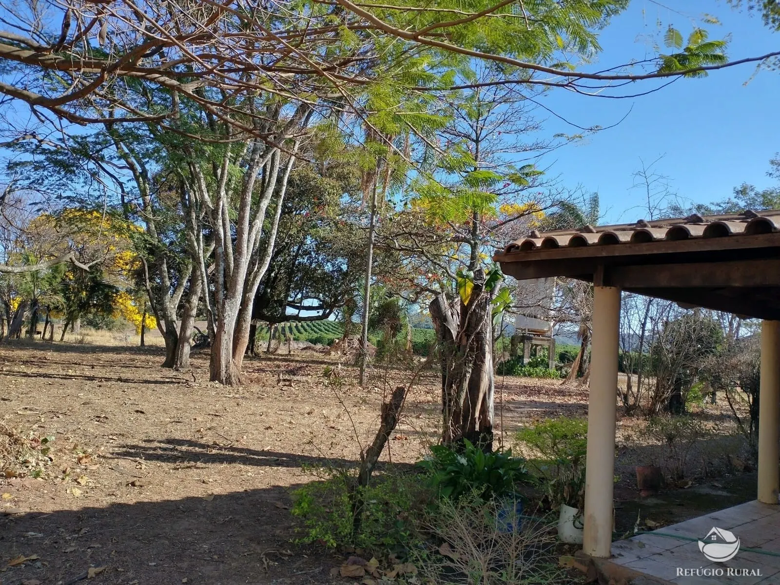 Fazenda à venda de 265 ha em Patos de Minas, MG, Brasil