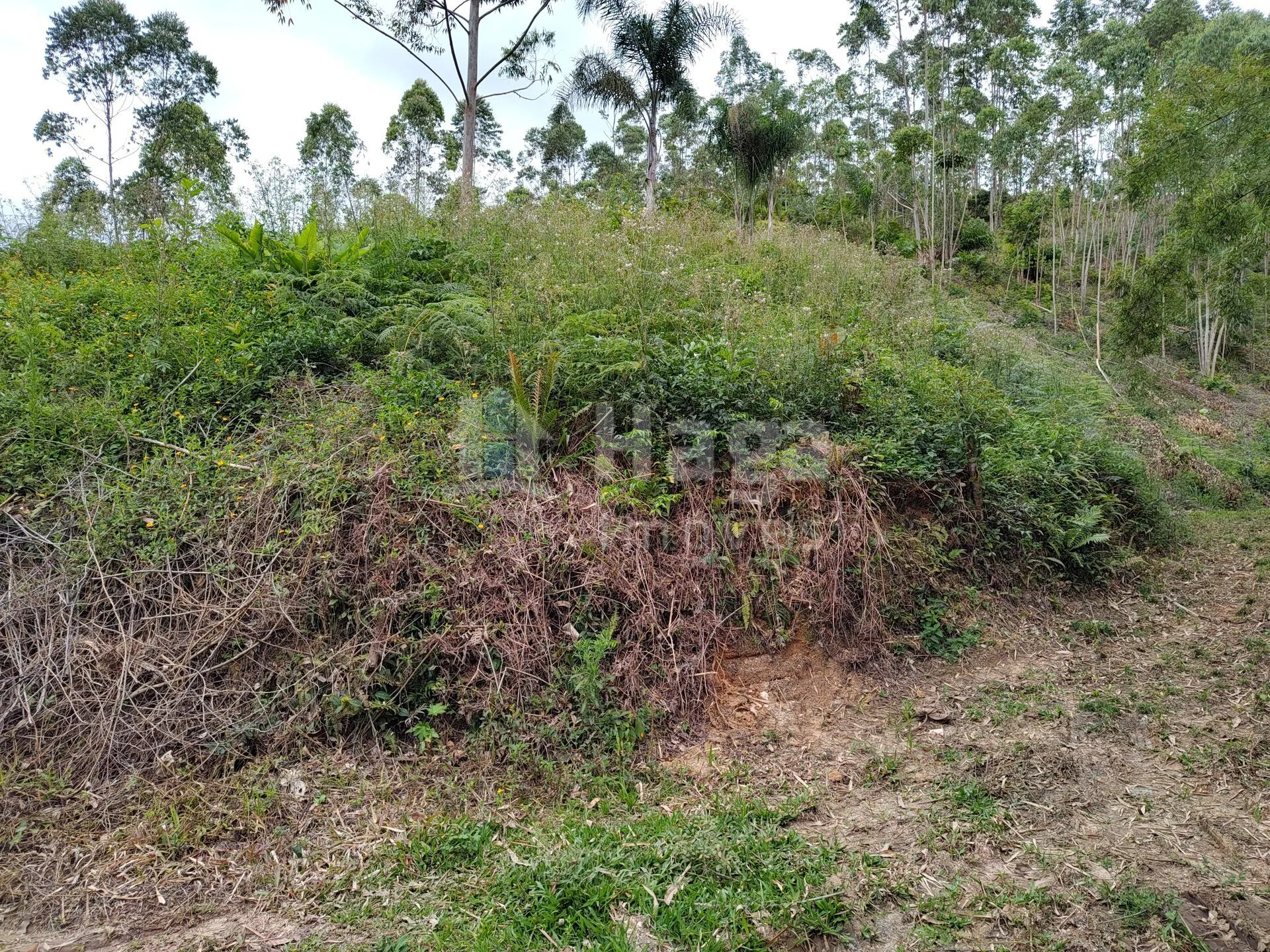 Plot for sale of 7 acres in Botuverá, SC, Brazil