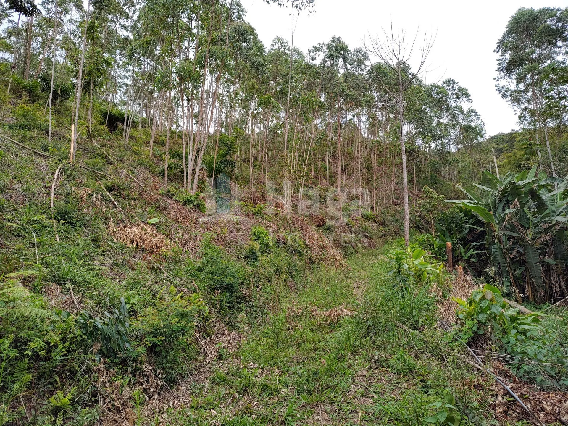 Plot for sale of 7 acres in Botuverá, SC, Brazil